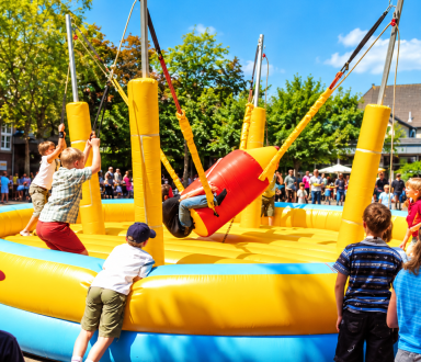 bungee bull riding