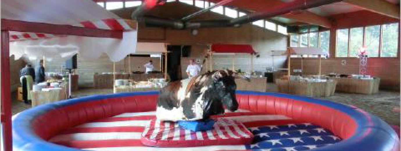 Bull-Riding Wilder-Stier Rodeo
