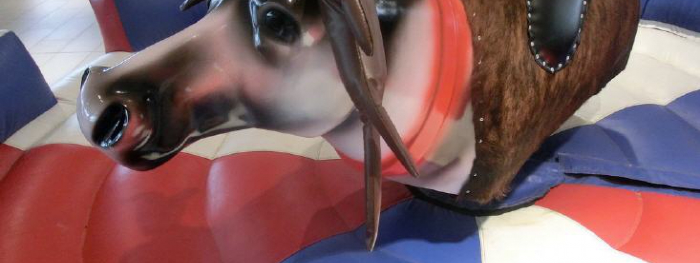 teloeken-event-gmbh-bull-riding-rentier2